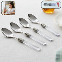 Stainless dessert spoon set