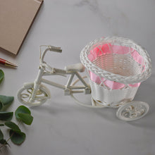 Bike Blossom
