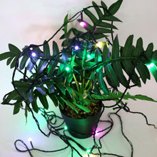 Multi-Color Decorative Fairy Lights