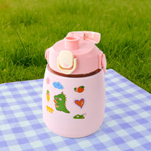 Stainless Steel Vacuum Insulated Water Bottle with Handle & Sticker (700 ML)