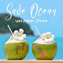 Paper Drinking Straws