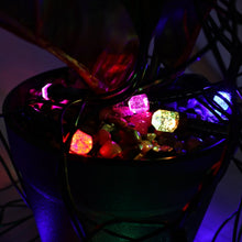 Luxury LED Decorative Fairy Light Set