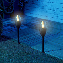 Bright Sol Pathway Lantern