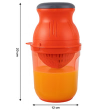 Fruit Juicer