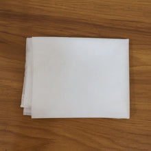 Non-woven shoe carry bag
