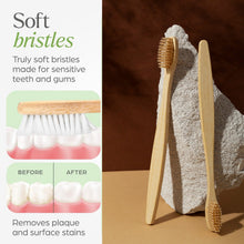 Eco-Friendly Natural Bamboo Toothbrush with Medium Bristles (2 Pc)