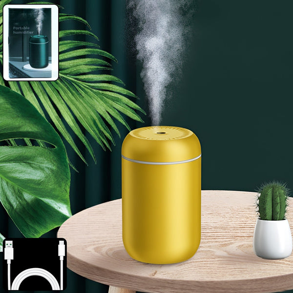 Mini Humidifier