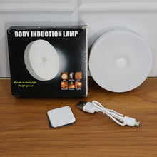Rechargeable Motion Sensor Night Light (1 Pc)