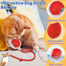 Rechargeable Interactive Cat Toy Ball with Detachable Tail and LED Light (1 Pc)