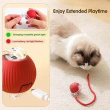 Cat Toy Ball
