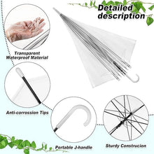 Premium Transparent Dome Umbrella with Curved Handle (1 Pc)
