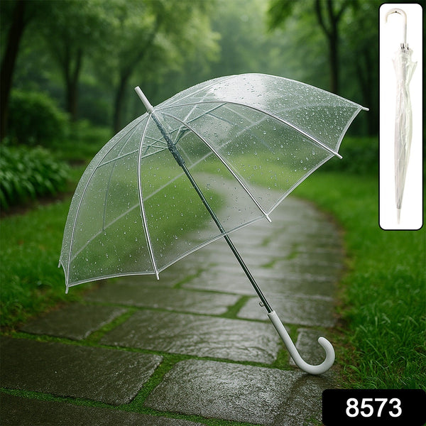 Transparent Umbrella